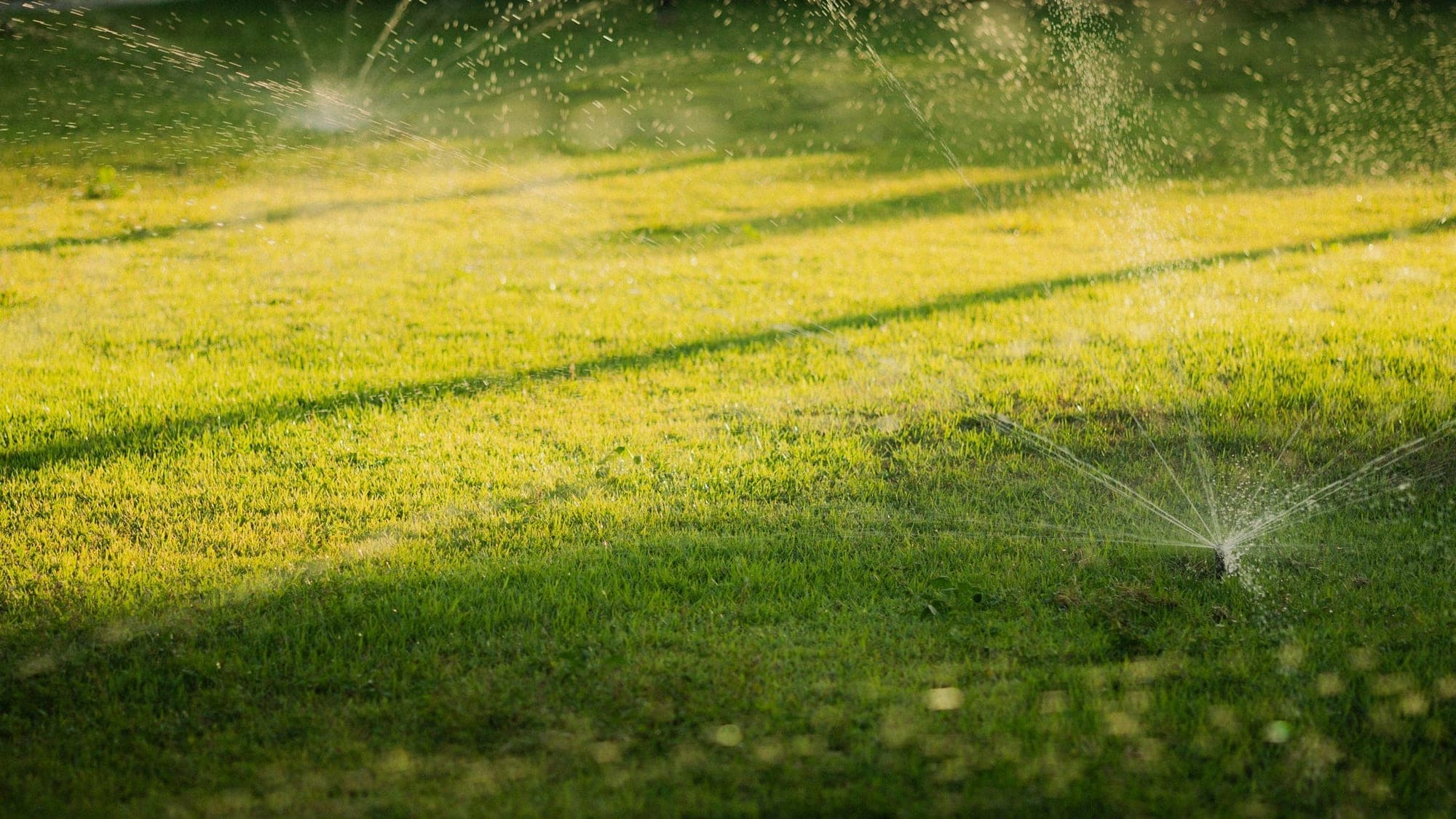 A garden sprinkler spraying a fine fan of water over a green lawn in low evening sun.