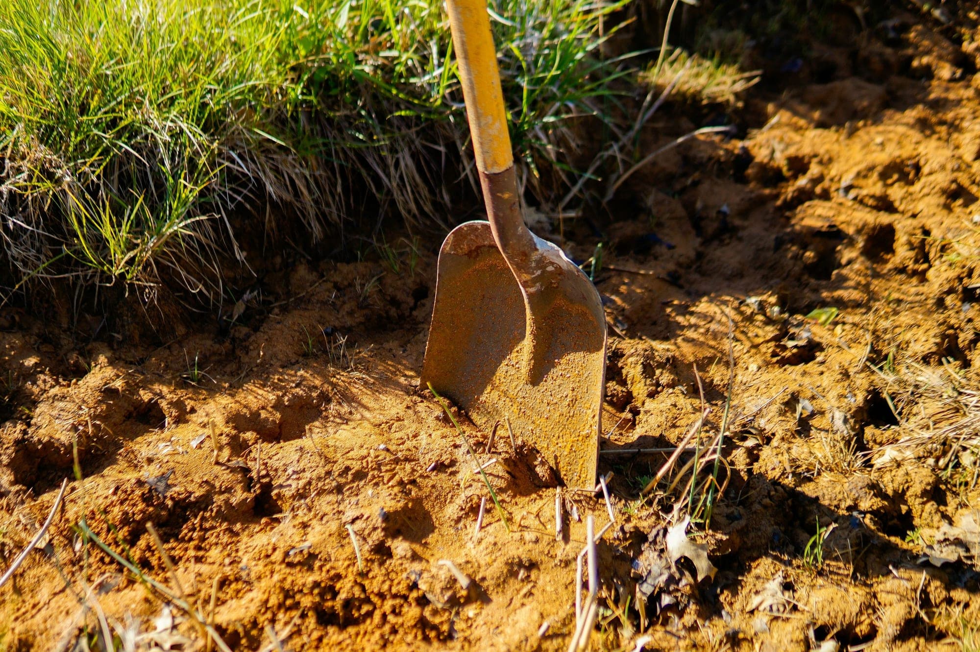 A garden spade pushed into lumpy orange-brown clay soil beside a grassy edge.
