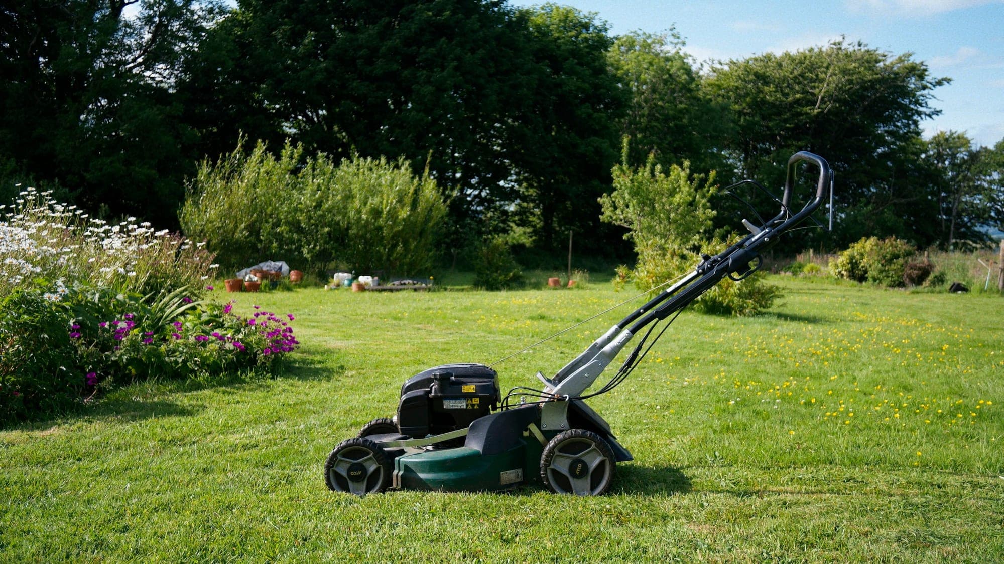 A rotary lawn mower standing on a lawn in warm summer light, with a flower border and shrubs behind.