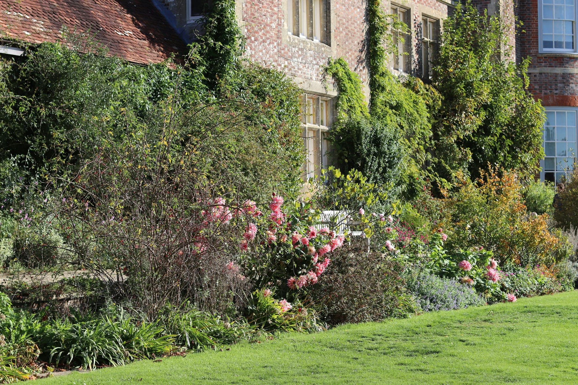 A deep border of pink roses and mixed shrubs along a brick house wall, beside a mown green lawn.