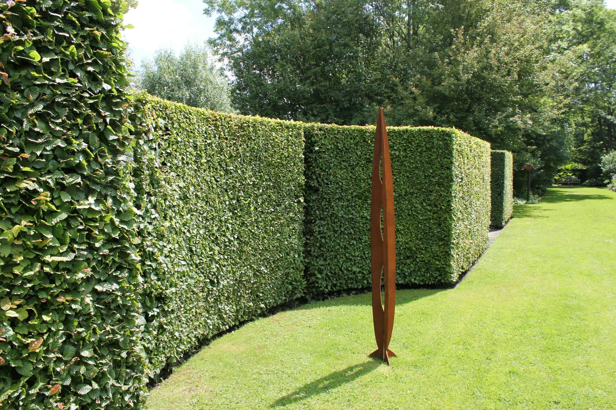 A neatly clipped, flat-topped beech hedge curving along a lawn, with a rust-coloured sculpture standing on the grass
