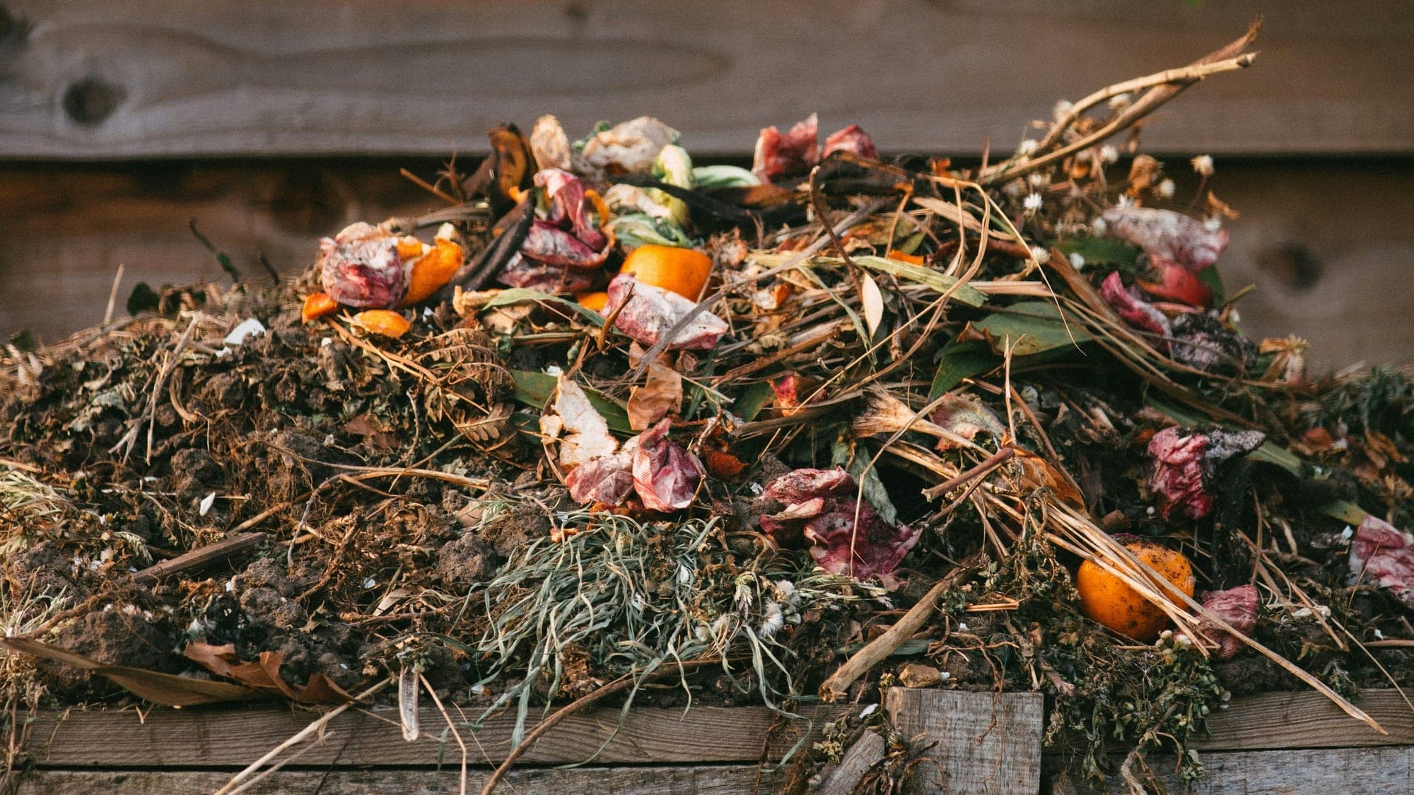 A heap of garden trimmings and kitchen peelings composting in a timber pallet bay against a wooden fence.
