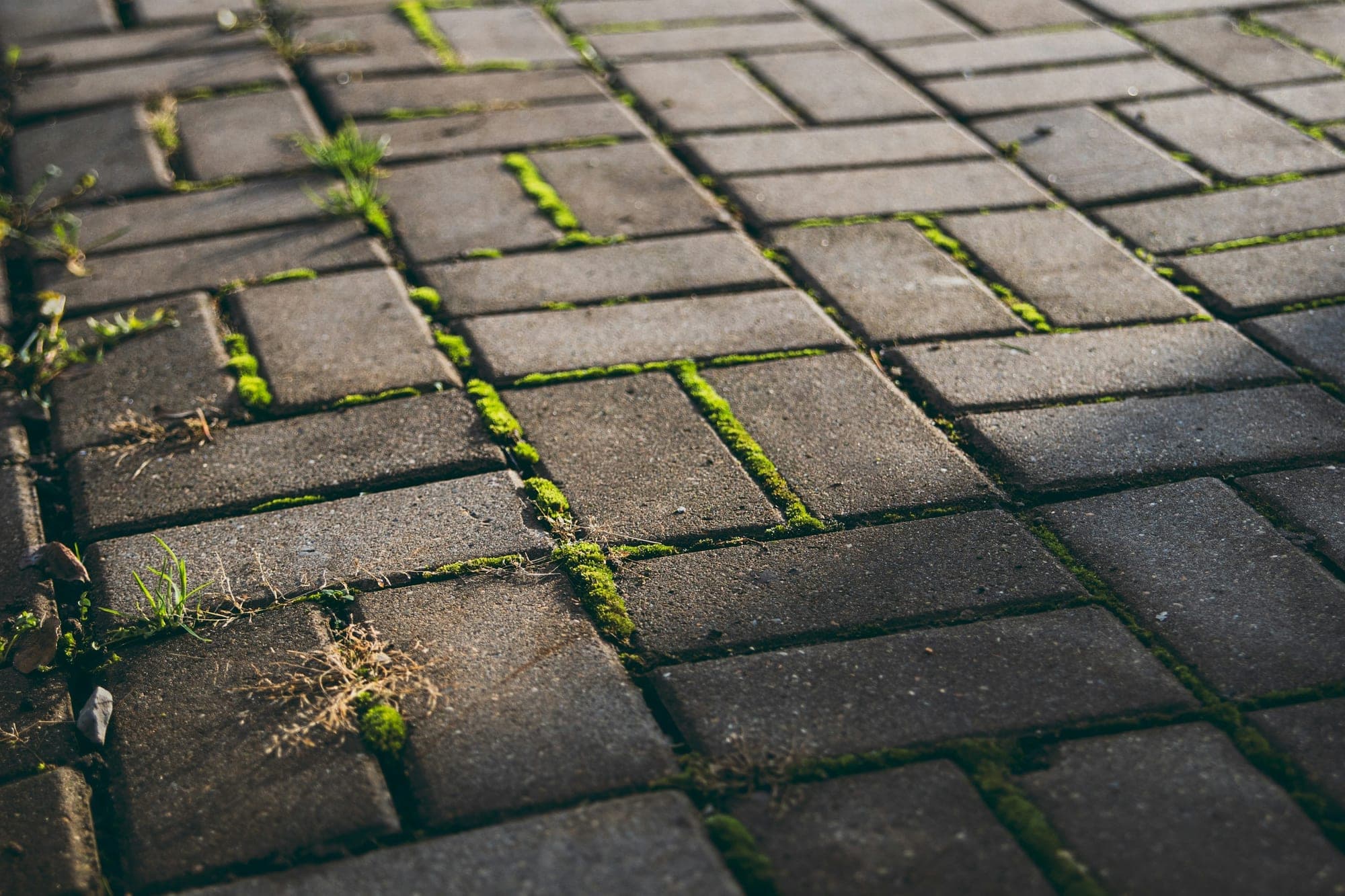 Grey block paving in a basketweave pattern with moss and small weeds growing in the joints.