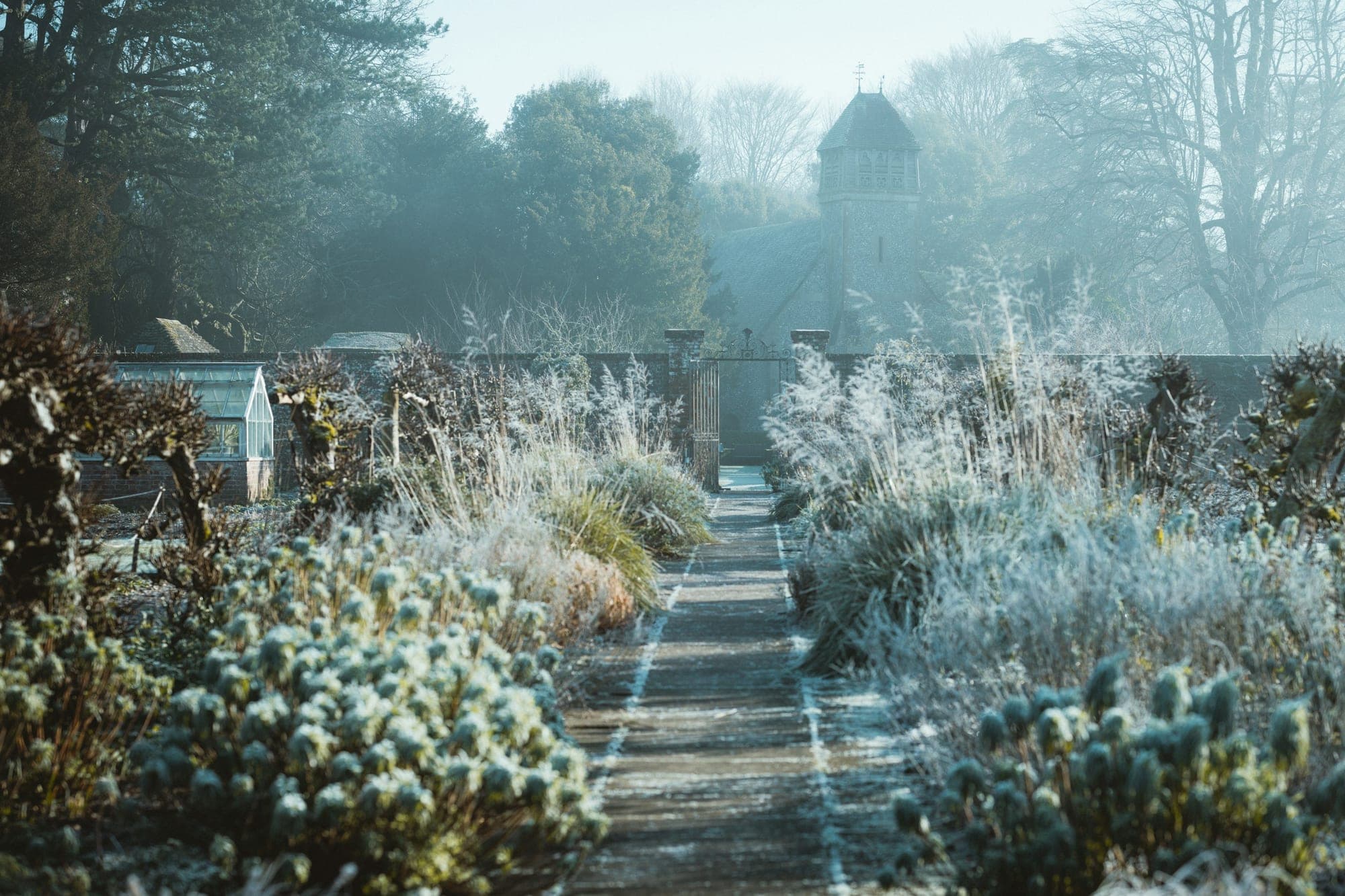 A frosted garden path between borders of frost-covered shrubs and grasses in pale winter light, with a walled garden and church tower beyond.